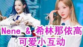 动物帮帮忙保卫家园